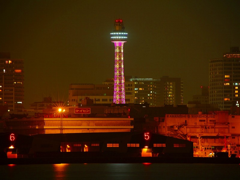 l`D l`ỉ摜